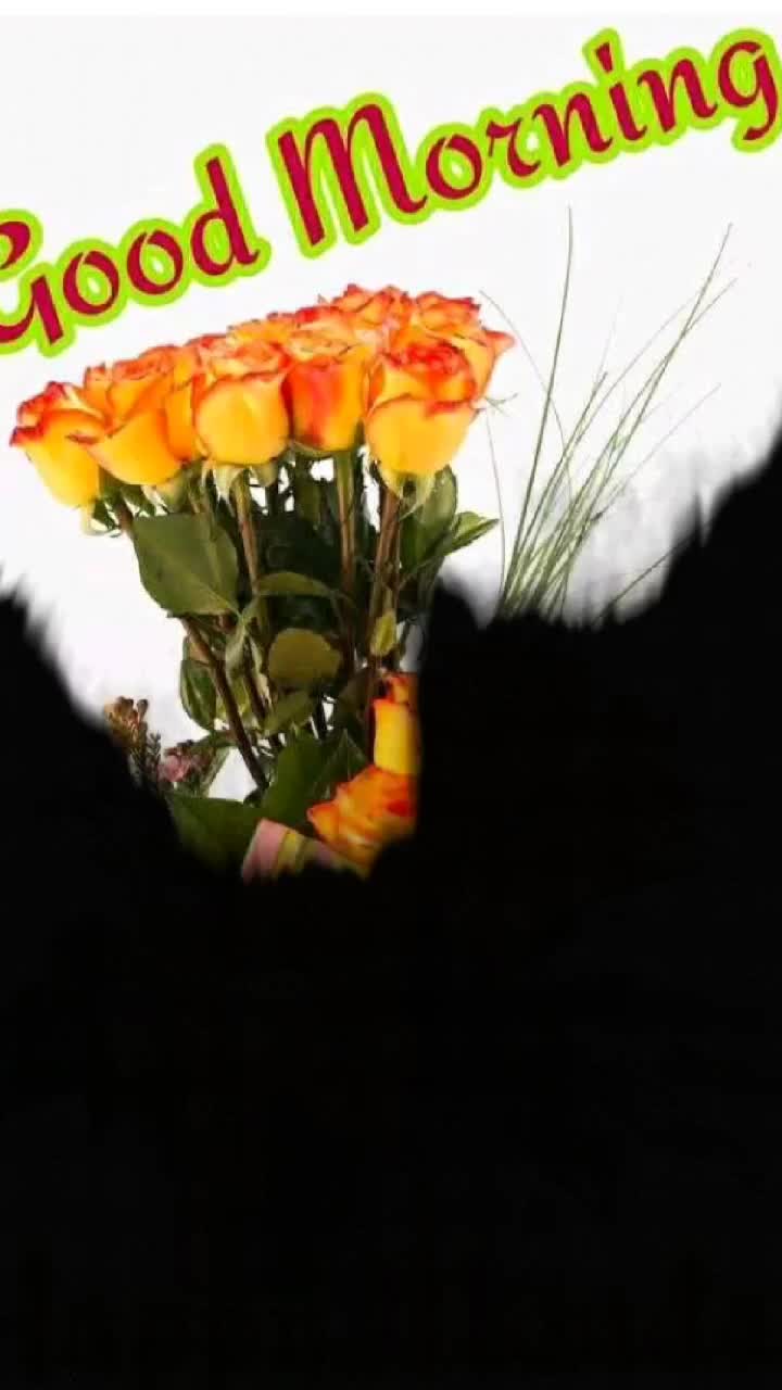@Meghna kumari