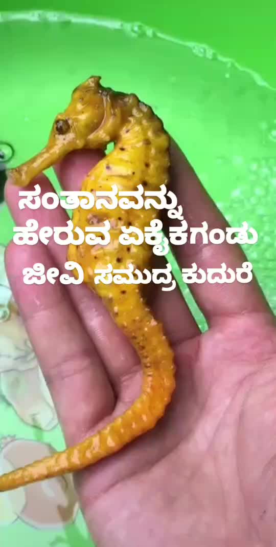 @Nemu Asif