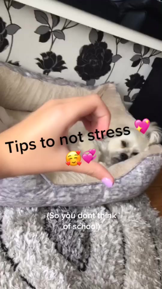 @I will help you💛🌼
