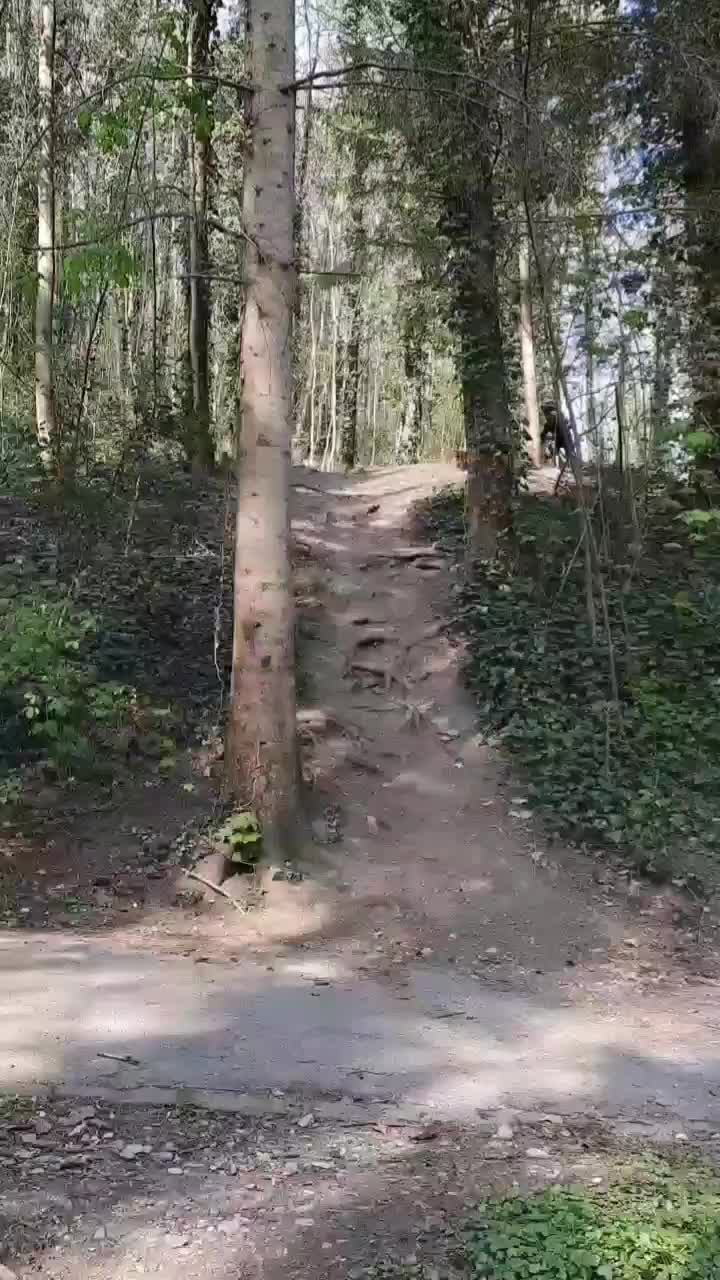 @coco_866