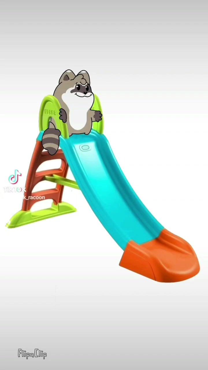 @🦝