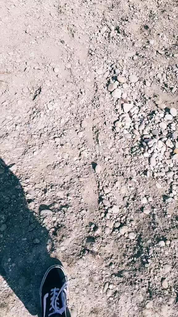 @Moon_Wolf