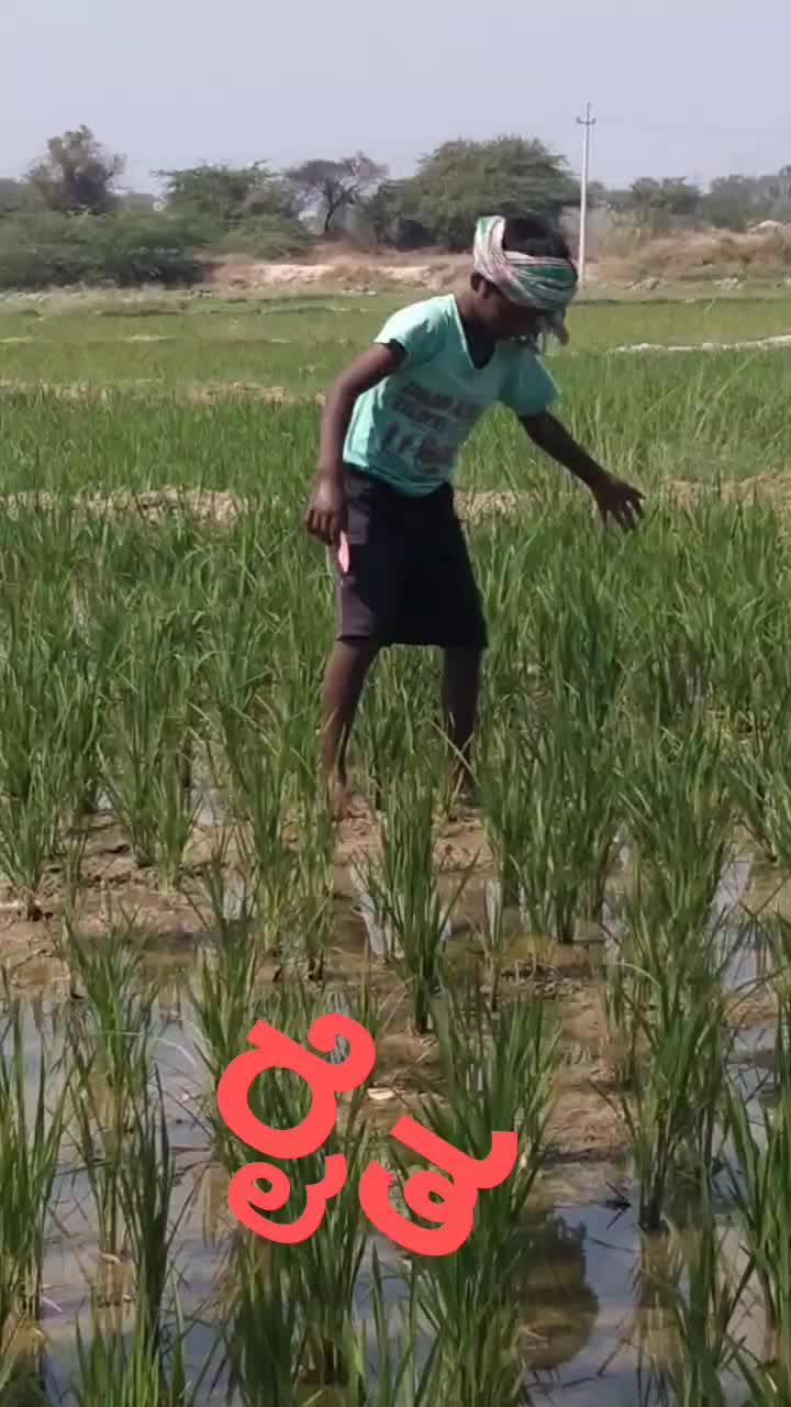 @ramesh 758