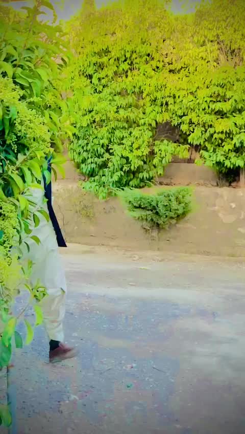 @✌بلوچ✌️