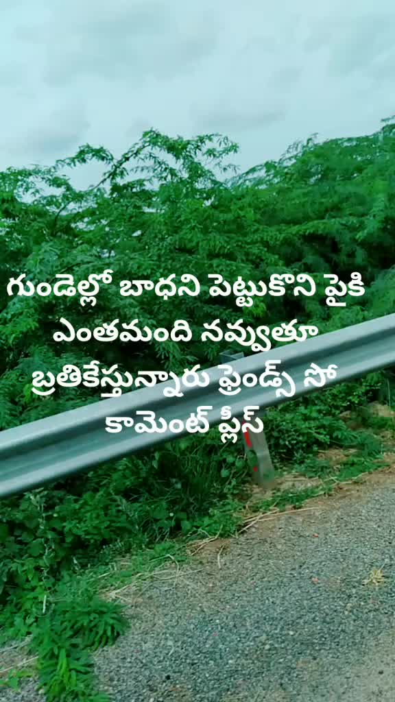 @mani