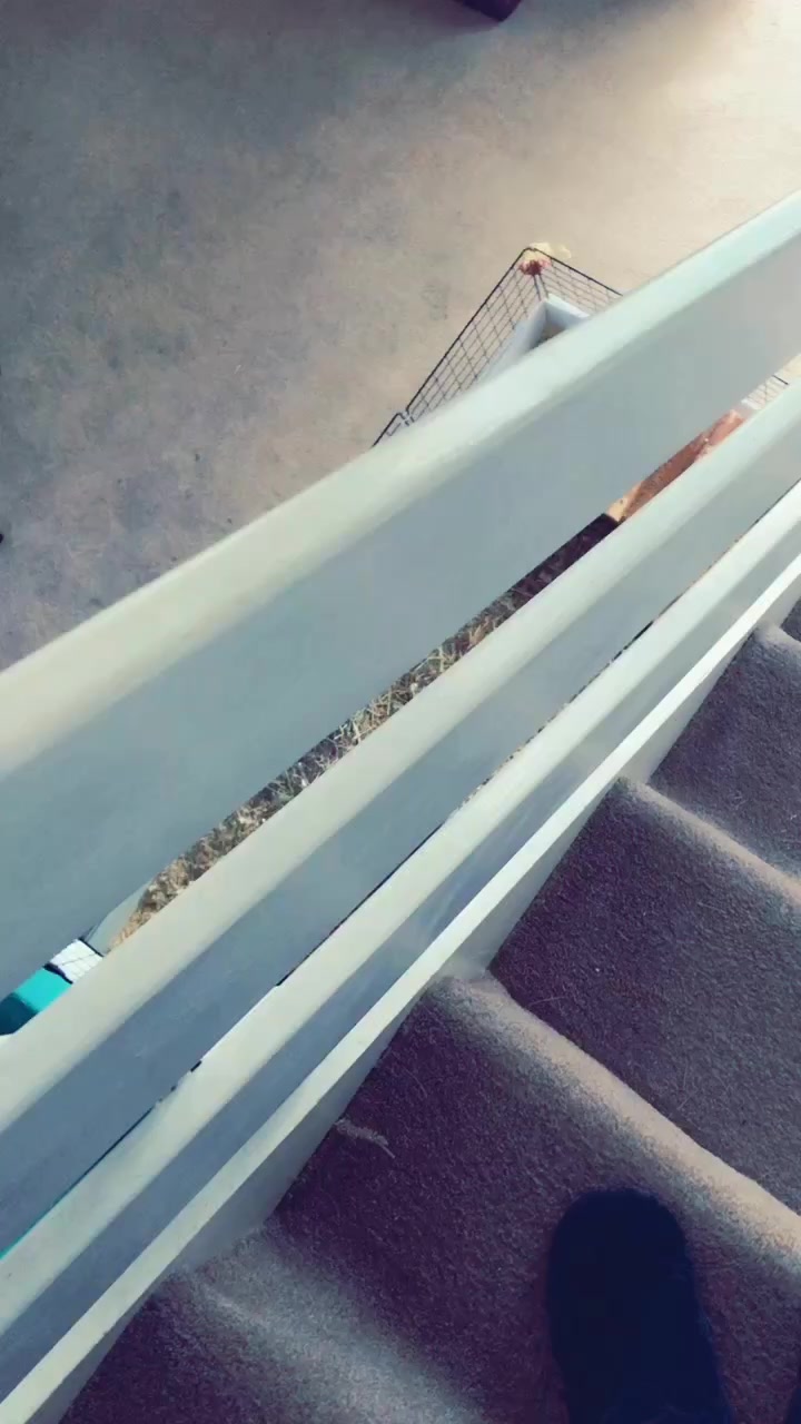 @𝔹𝕖𝕔𝕜𝕪'𝕤 𝔹𝕒𝕟𝕥𝕤💭🎤