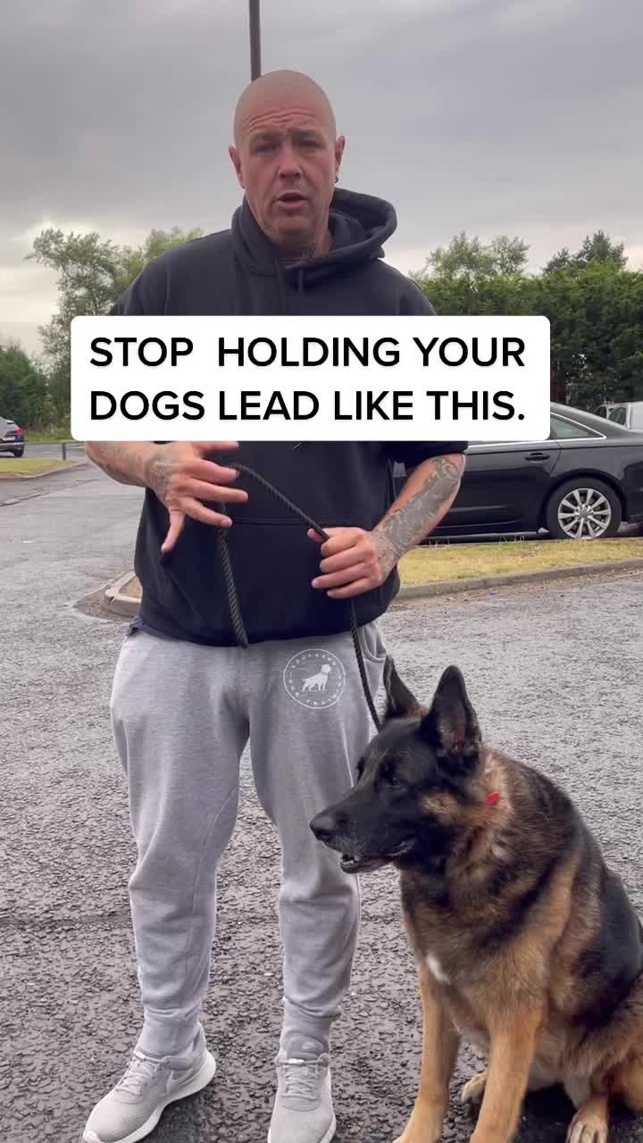 @LeeJonesOfficial Dog Training