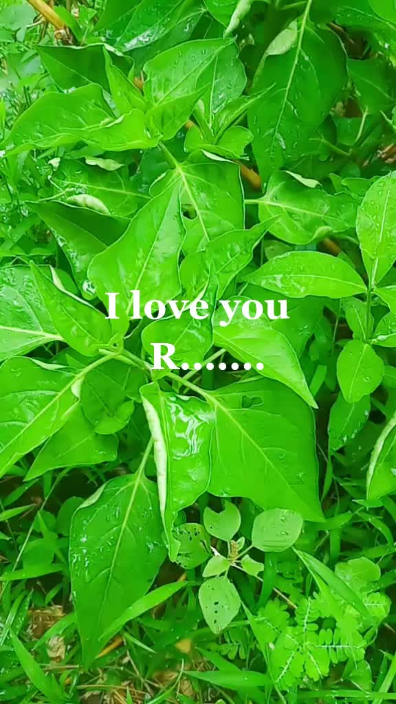 @SR Swapna