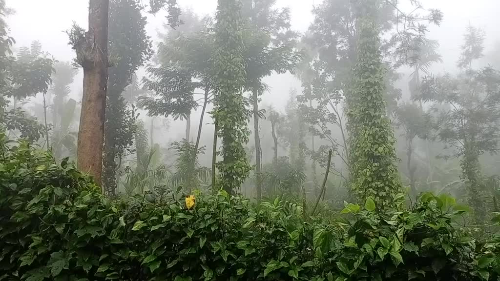 @(Nature)_(lover)
