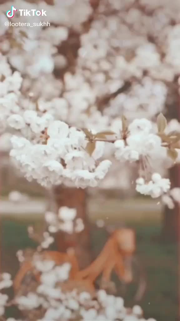 @ʀᴏκᴇᶰ᭄ᴮᴼʏ◢࿐