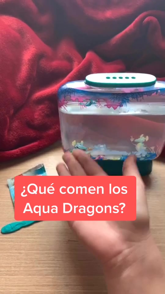 @mini.dragons