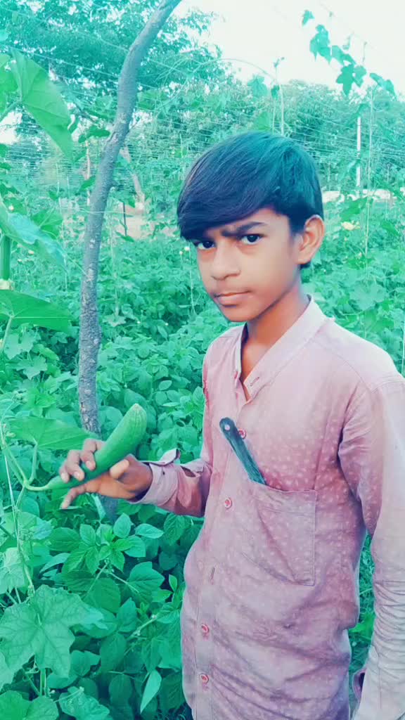 @Ajitvaghela Ajitvagh