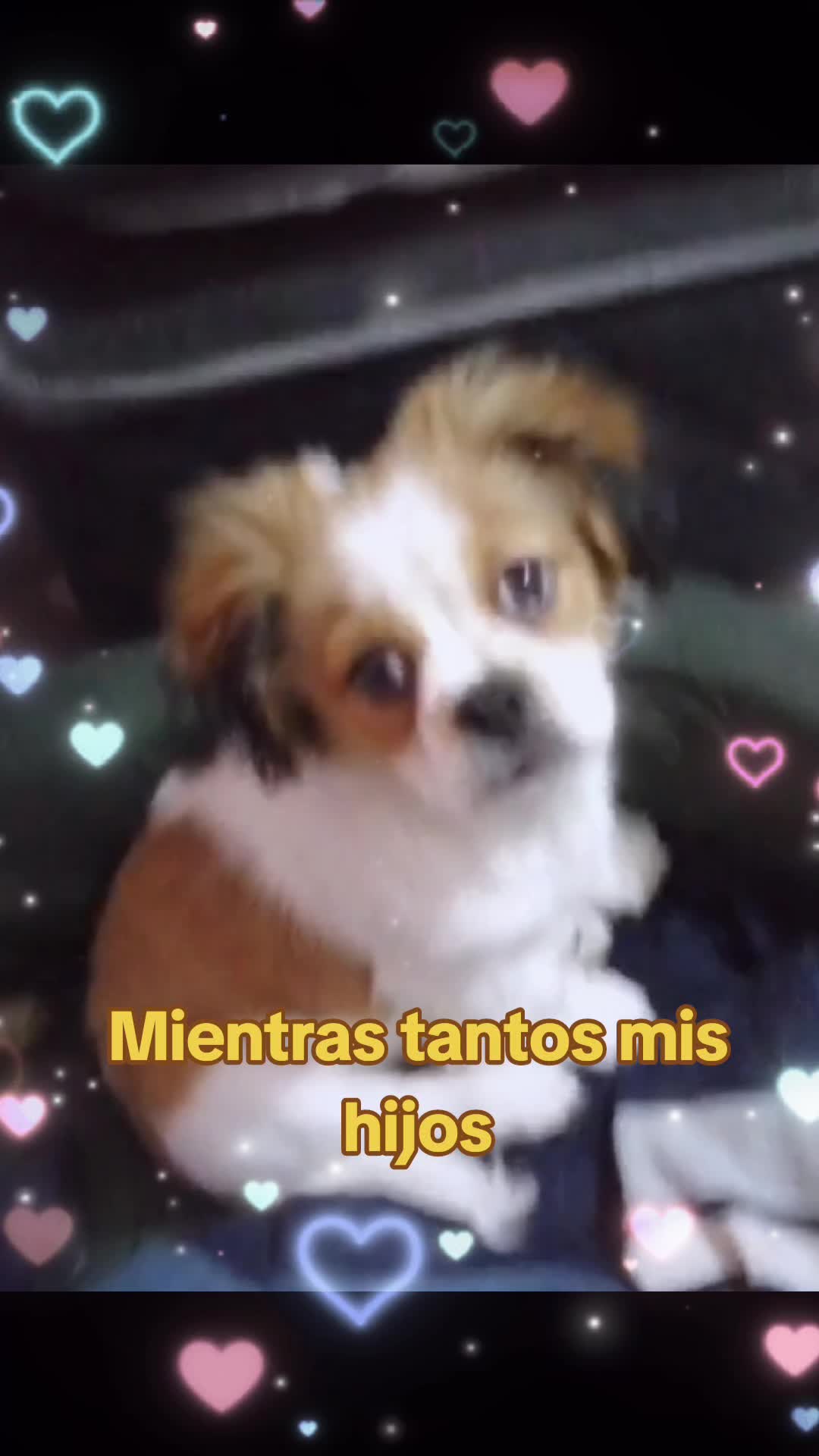 @Nezukin