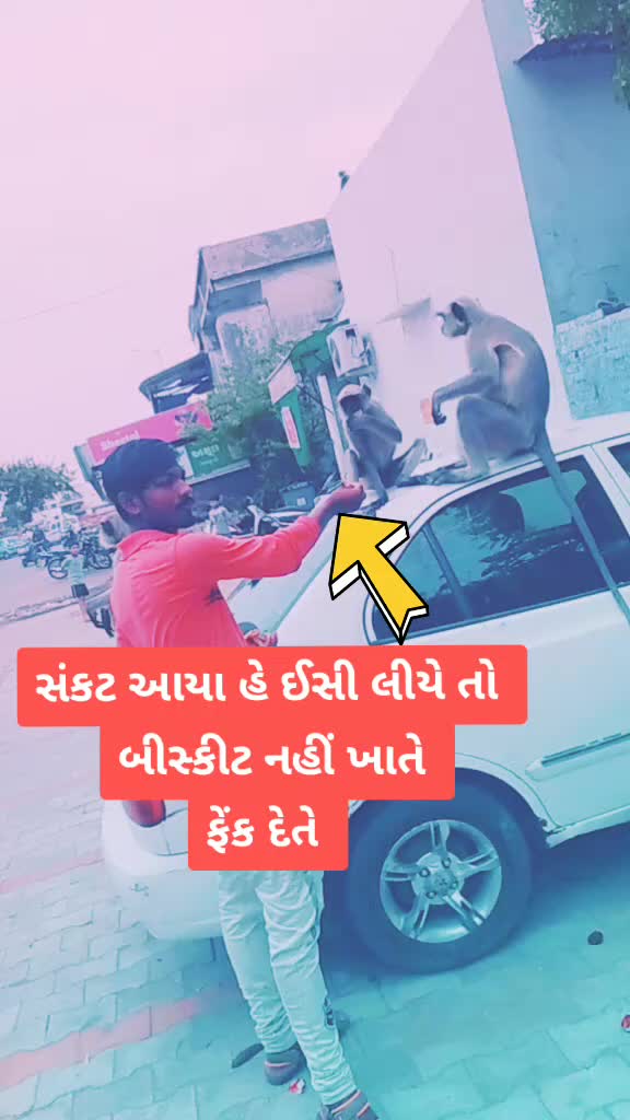 @Rajput Deviram