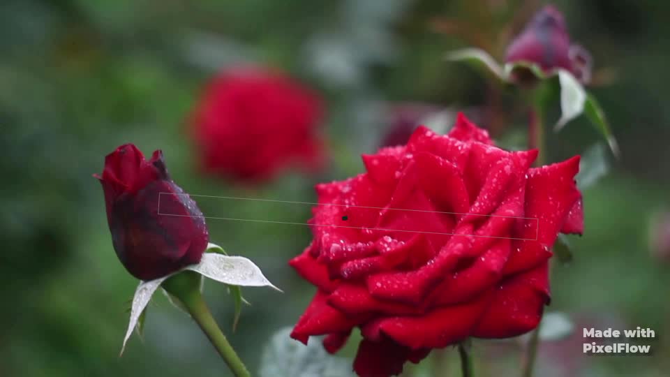 @bhanukancham mudiraj
