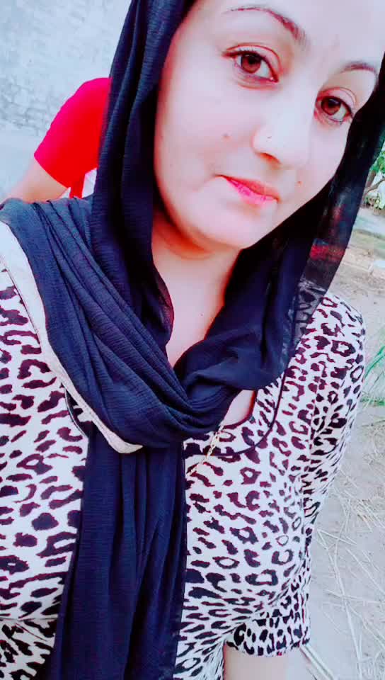 @harry sangha sab