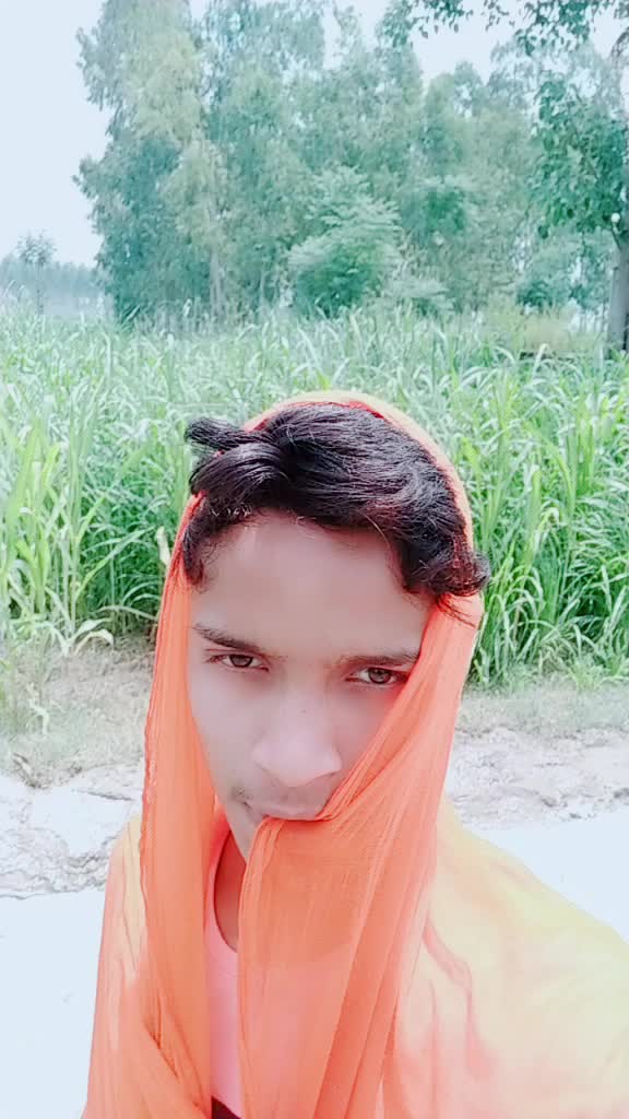 @user388334