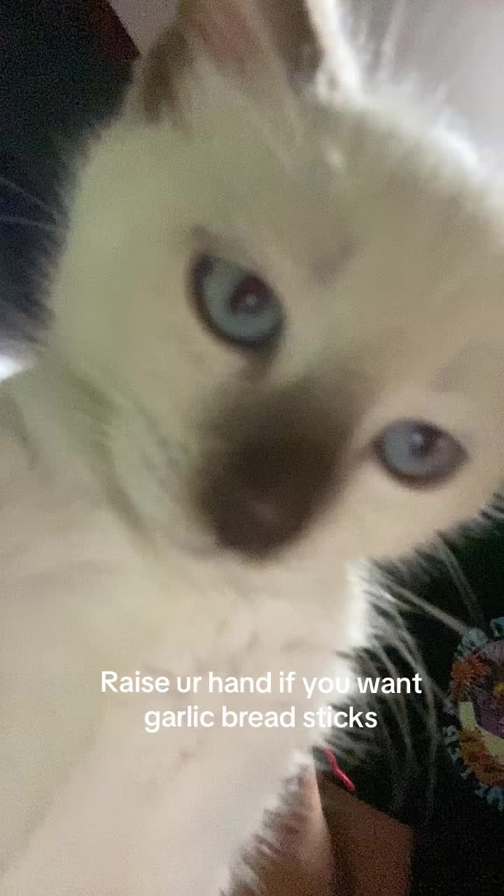 @Ashlee Estrada