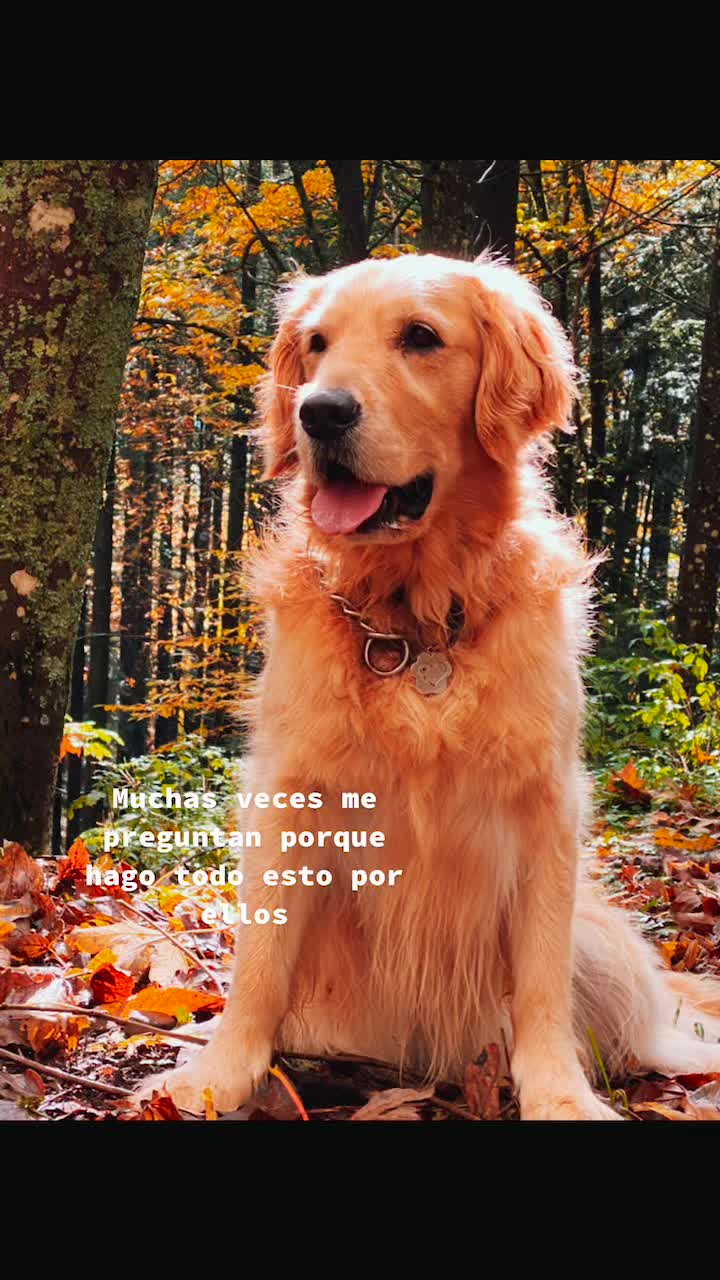 @🐶PENNY🐶