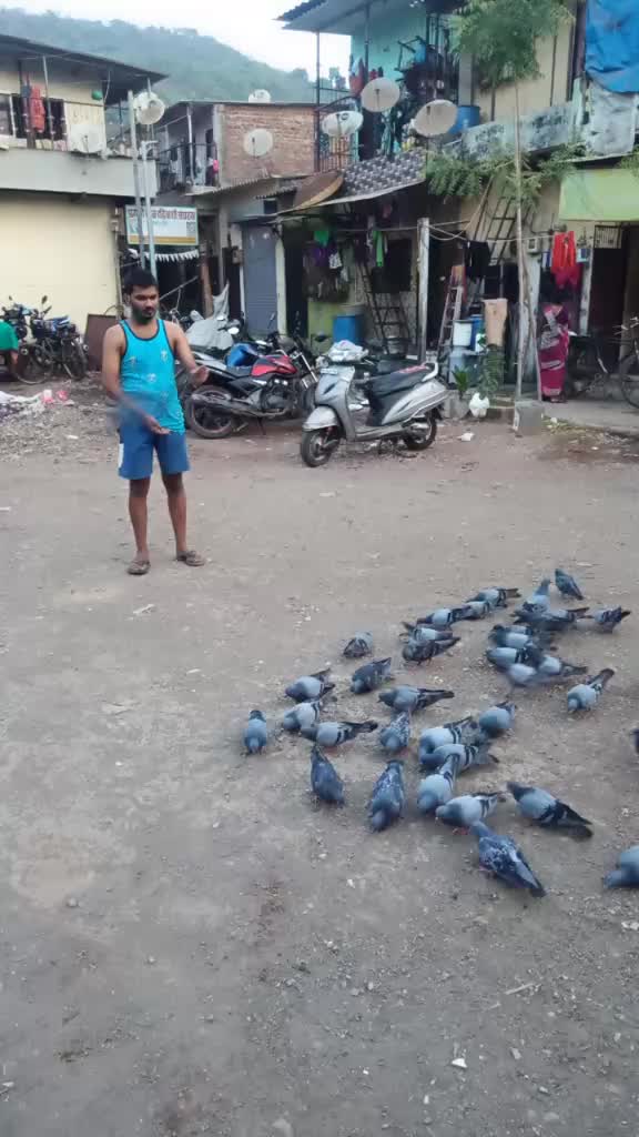@Radhe Gaikwad