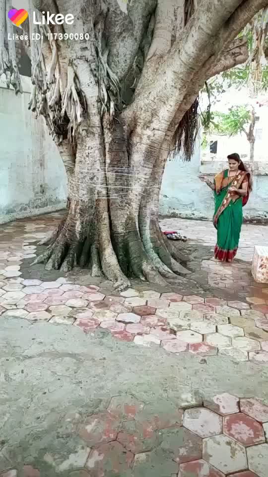 @amol chitari