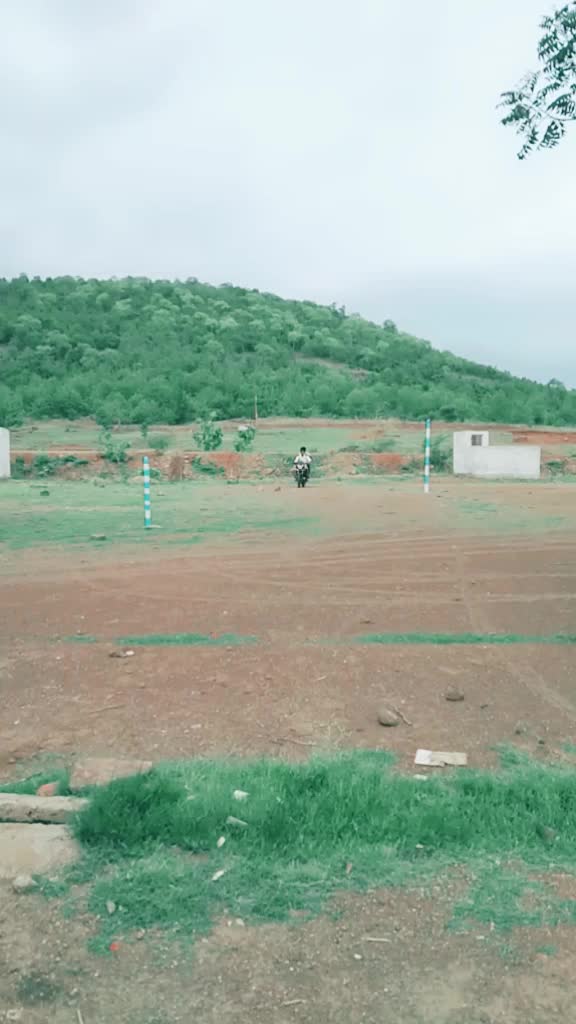 @जय सेवालाल