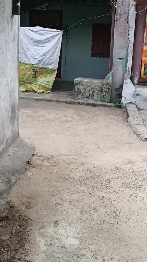 @HA MARU ARVALLI HA GJ 31