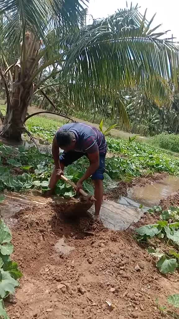 @Malarkumar