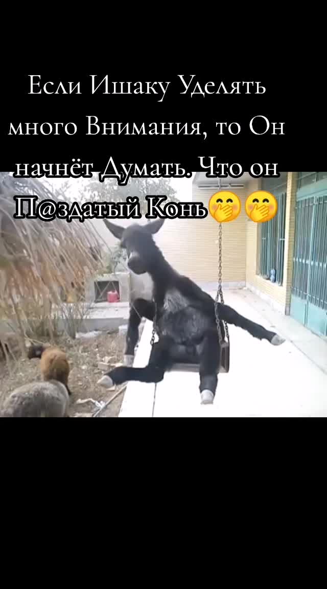 @🌼Ромашки для Наташки🌼