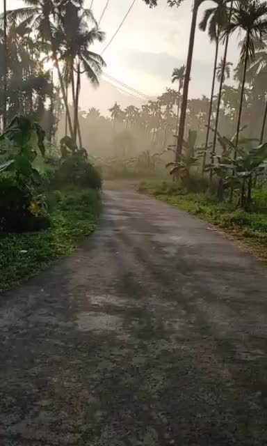 @jayaraj