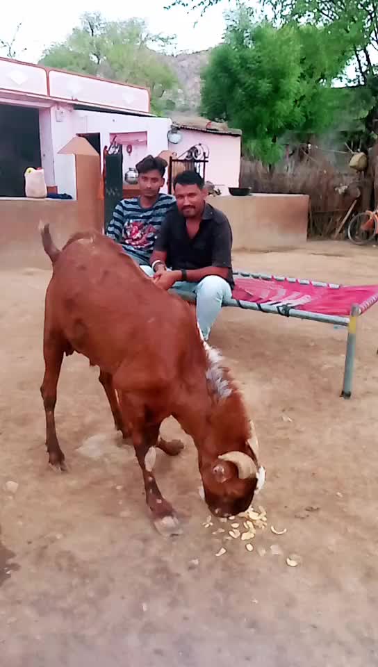 @Sailesh Dewasi Thoor