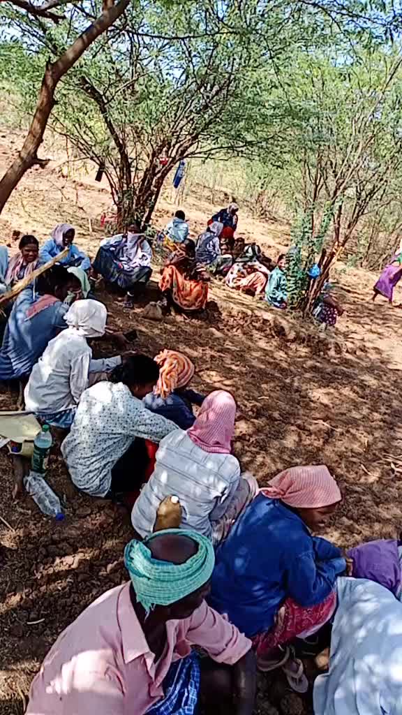 @Ani Sardar