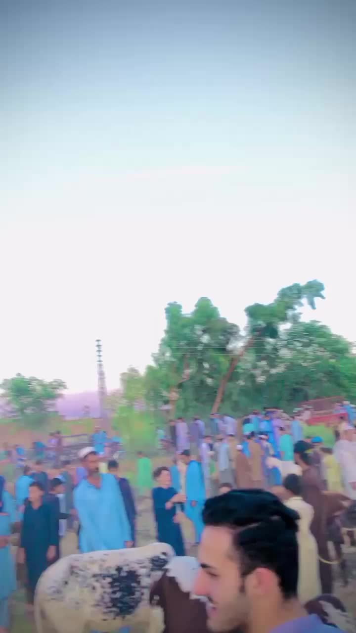 @Ibad زیب Maلaنg