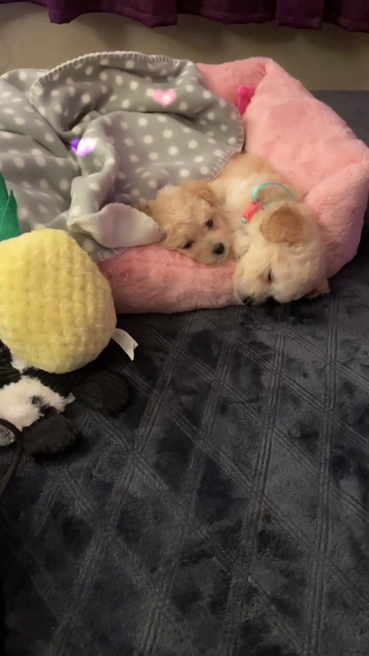 @wonder_mommawh29