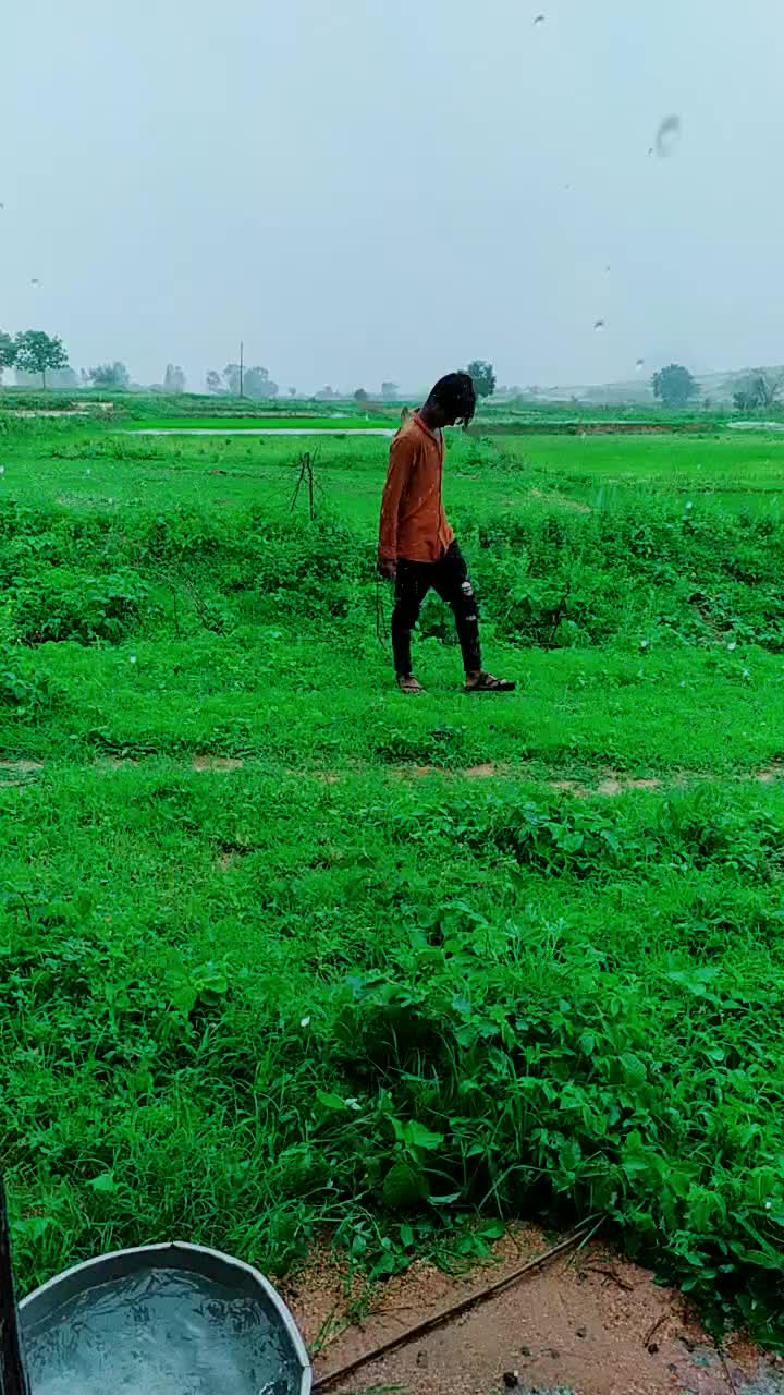 @naga .D.Boss