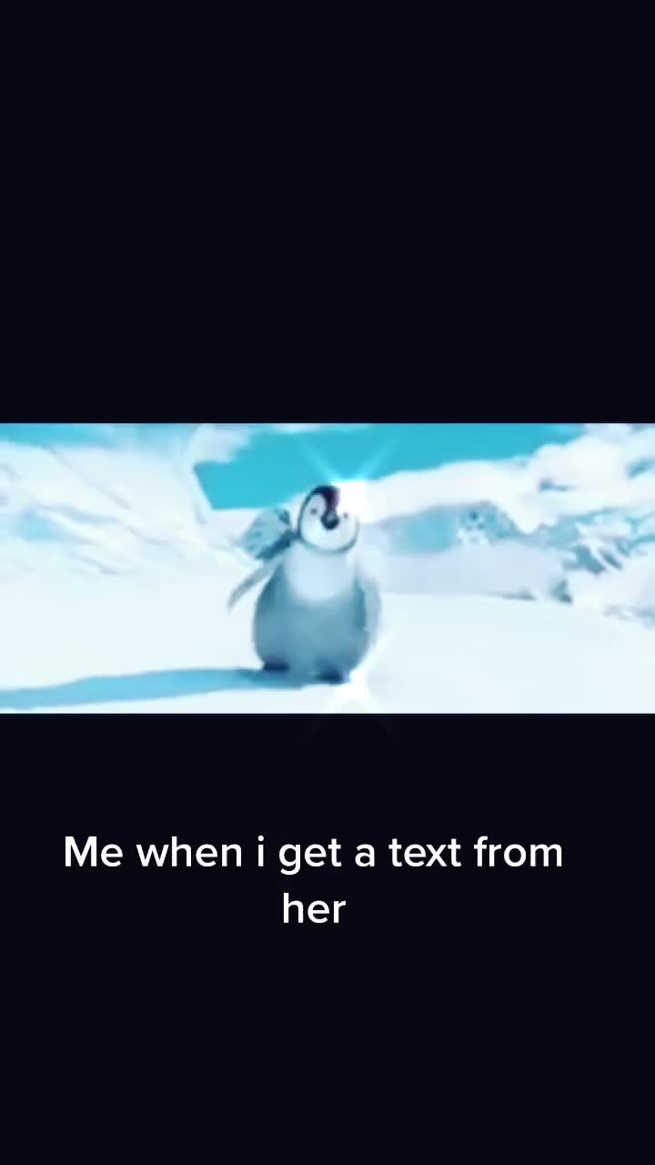 @user6551631702606