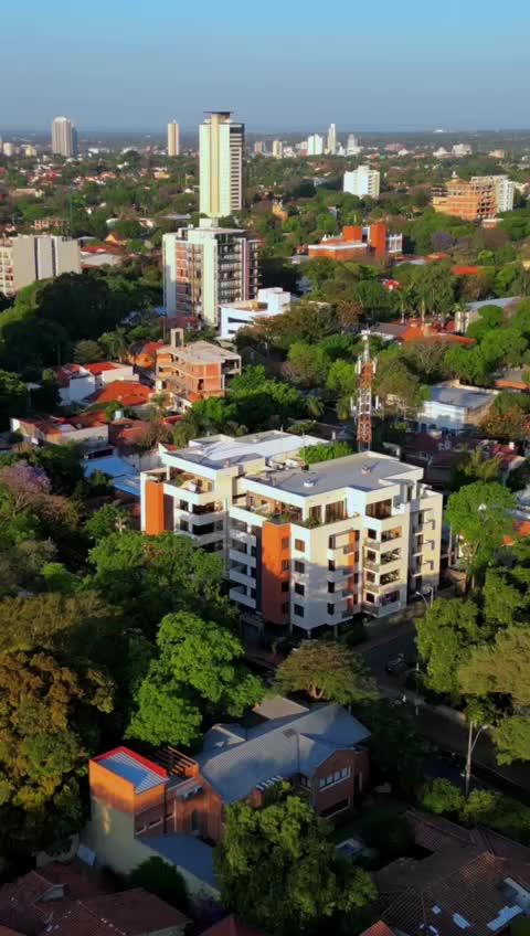 @Augusto Cardus C21