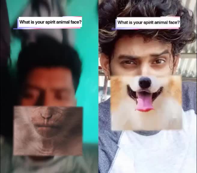 @Madar Makanadar