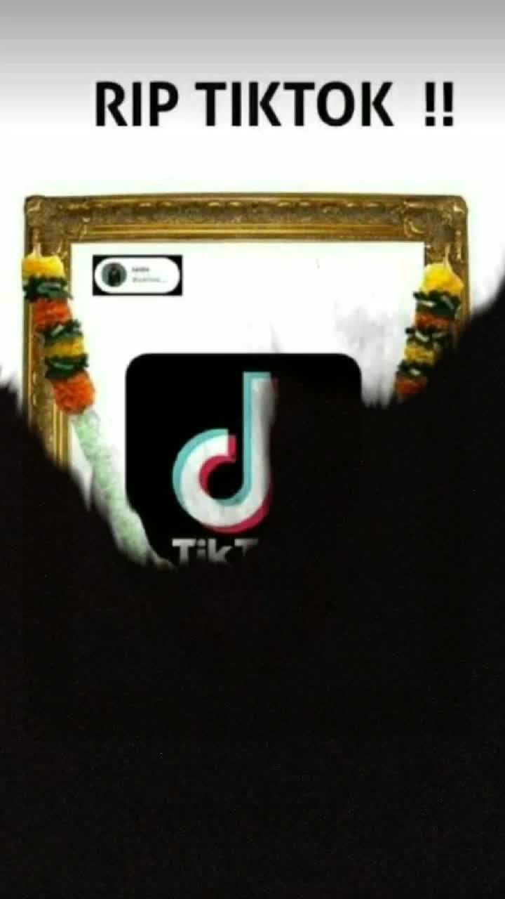 @user82264234809