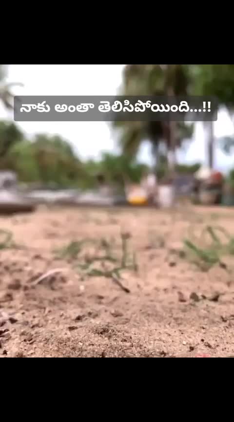 @tataji adapa
