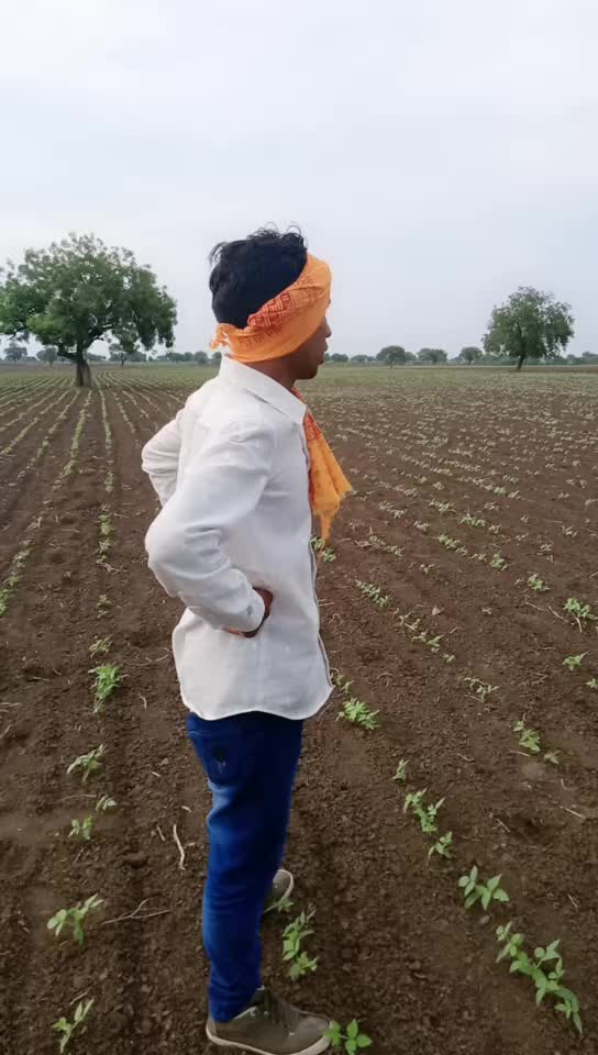 @नंदू पाटील झाडेगांव