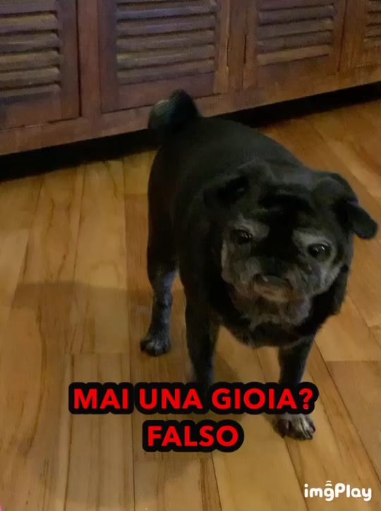 @Morina la Carlina