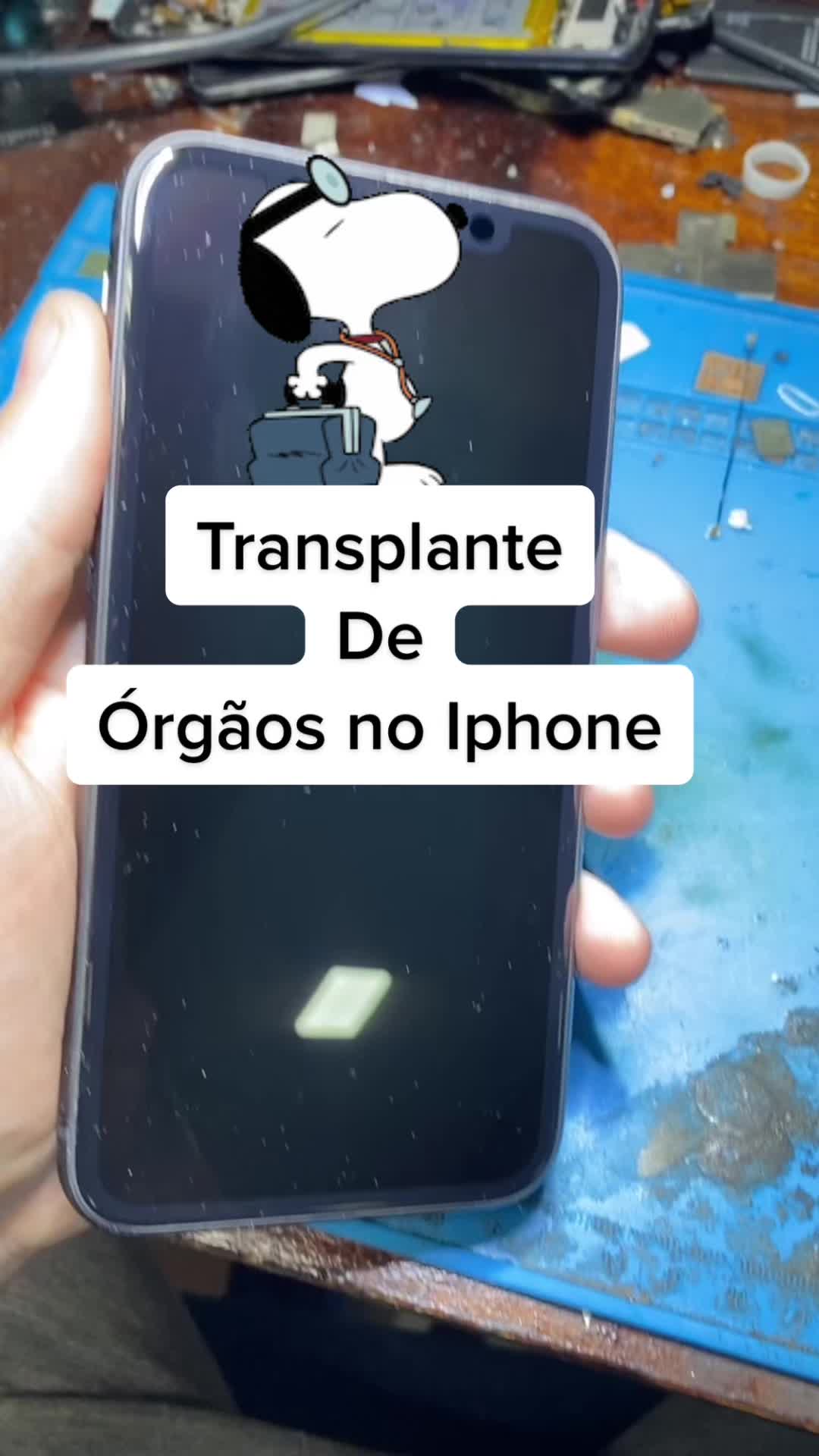 @Alecs
