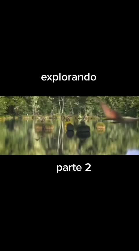 @Alex 🦴