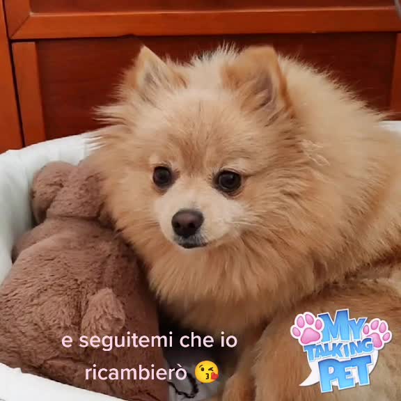 @Layla