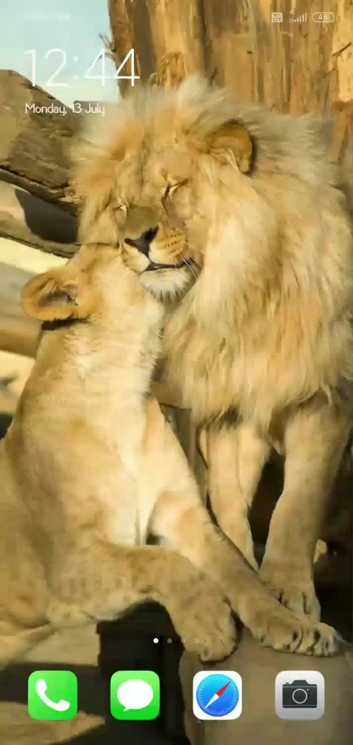 @Arman_malik_007