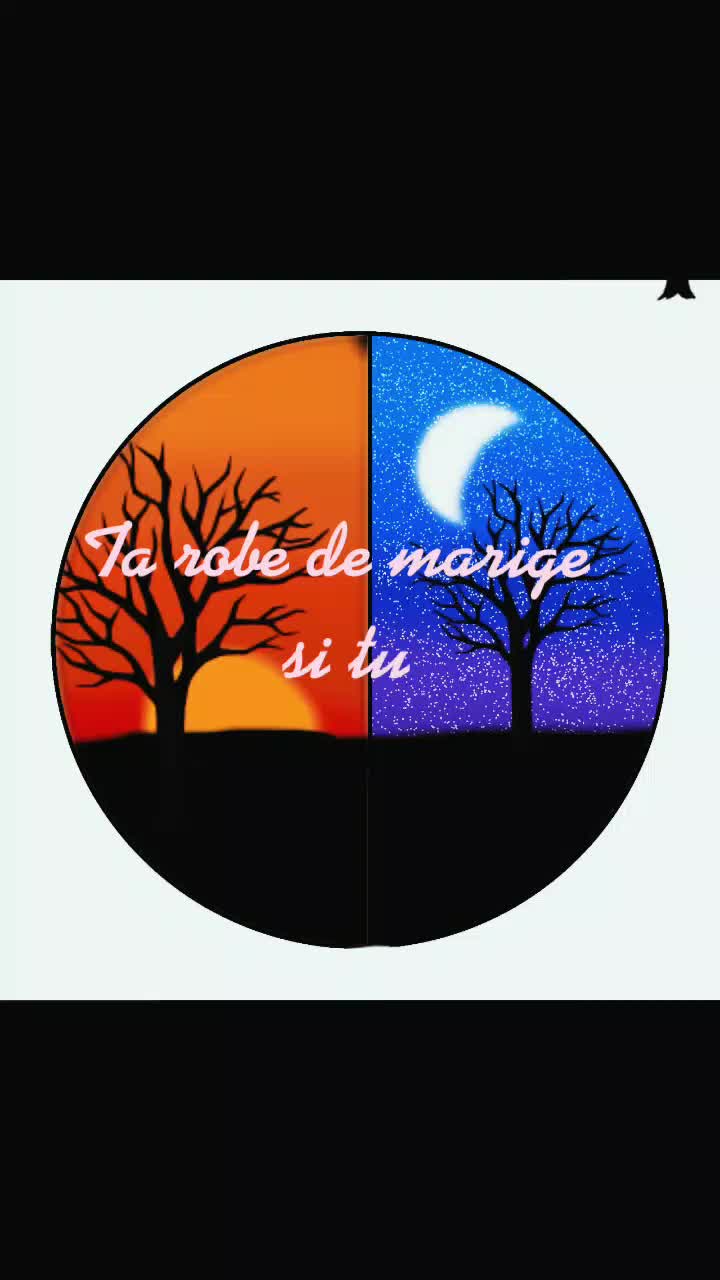 @la_reine_de_tik tok