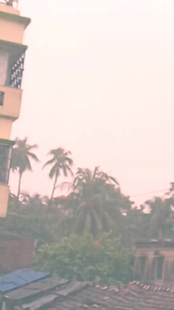 @Srijani Adhikary
