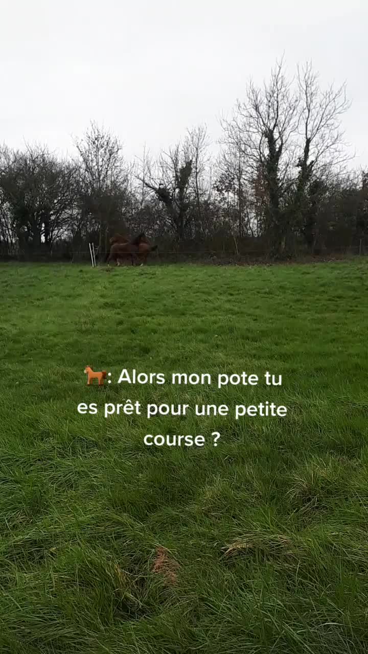 @gwenbonneau