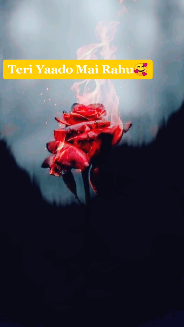 @👑TEAM GURJAR RAJ👑